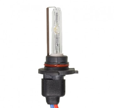 HB3 / 9005 Xenon Lamp