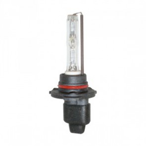 H10 Xenon Lamp