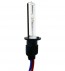 H1 Xenon Lamp