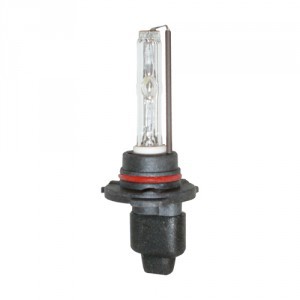 H10 Xenon Lamp